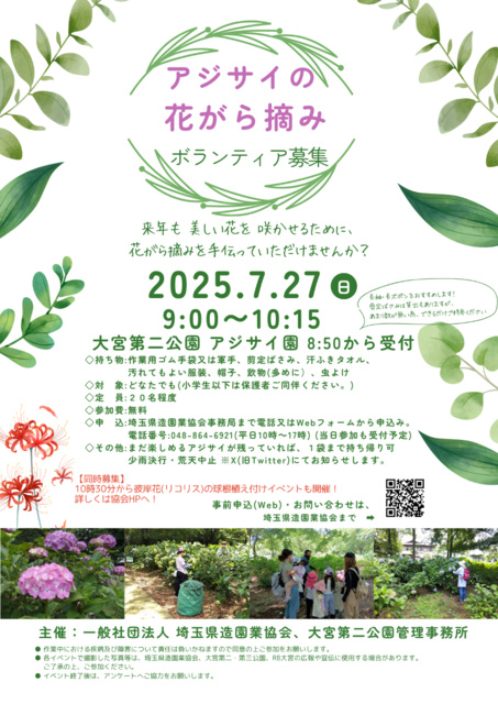 Omiya Second Park Hydrangea Flower Picking