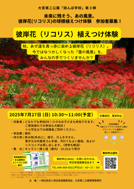 Omiya Second Park - Higanbana (Lycoris) Planting Experience