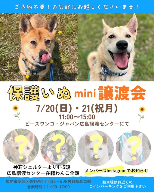 保護いぬmini譲渡会