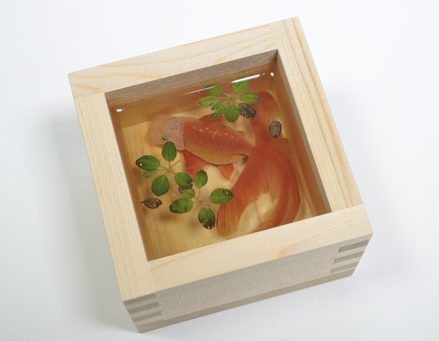 企画展「博物館 明治村×金魚絵師 深堀隆介　金魚浪漫」