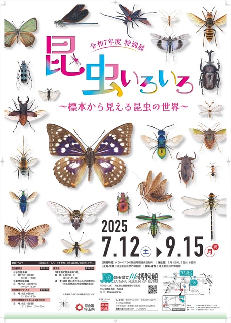 特別展「昆虫いろいろ～標本から見える昆虫の世界～」