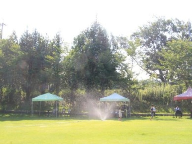 Water Play with Sprinklers