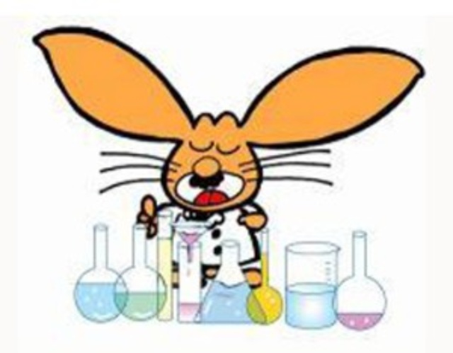 Science Show "Interesting Experiment A La Carte"