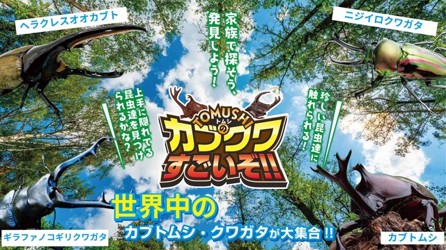 Fukaya Hanazono Premium Outlet TOMUSHI's Beetle and Stag Beetle is Amazing!!
