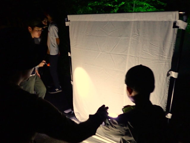 Summer Vacation Research Support Project "What kind of insects will gather? Let's attract insects with a light trap"