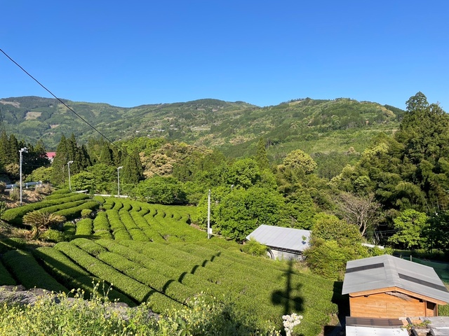 農山村ボランティア「若葉のふるさと協力隊」in 宮崎県諸塚村