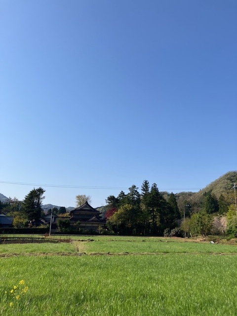農山村ボランティア「若葉のふるさと協力隊」in 福井県坂井市竹田地区