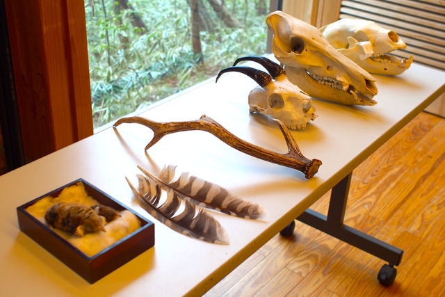 Summer Vacation Free Research Support Project "Learn about the Mechanisms of the Body and the Nature of the Forest! Specimen Program"