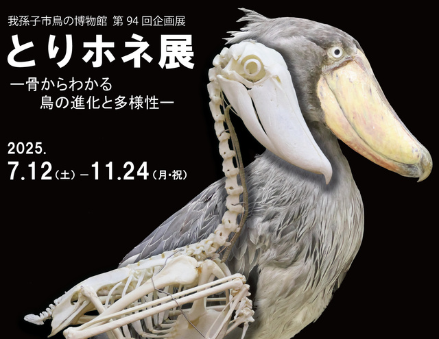 94th Special Exhibition "Bird Bone Exhibition"