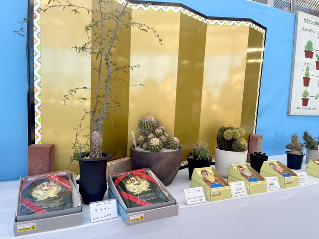 サボテン・多肉植物展