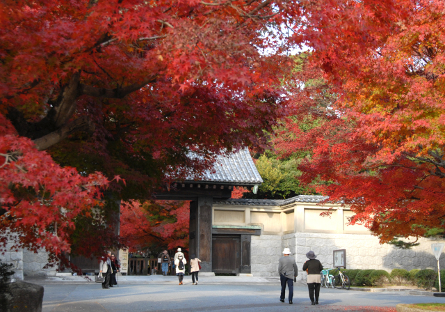 【紅葉・見ごろ】毛利氏庭園/毛利博物館 特別展「国宝」