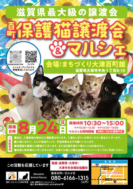 Hyakumachi Cat Adoption Event & Marche (August)