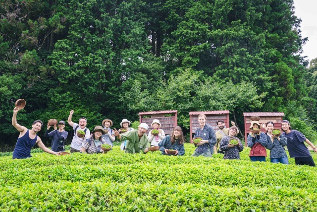 Autumn Tea Picking Experience 2025
