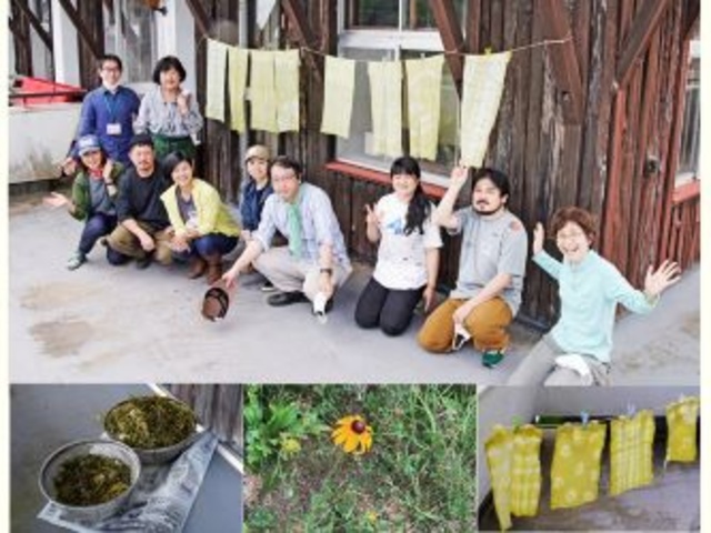 Ranger Introduction: Forest Balance Protection Team!! - Let's pull out the overgrown invasive plants and do some dyeing