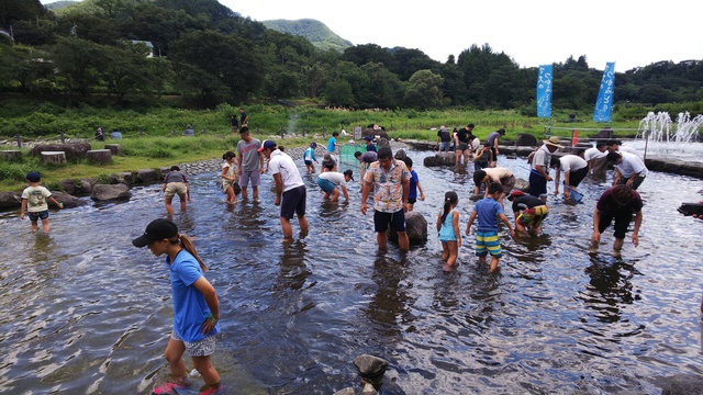 Trout Grabbing
