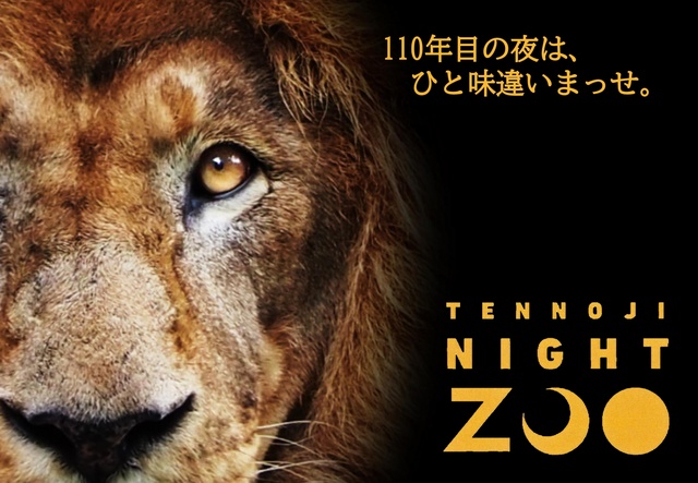 2025 Night ZOO
