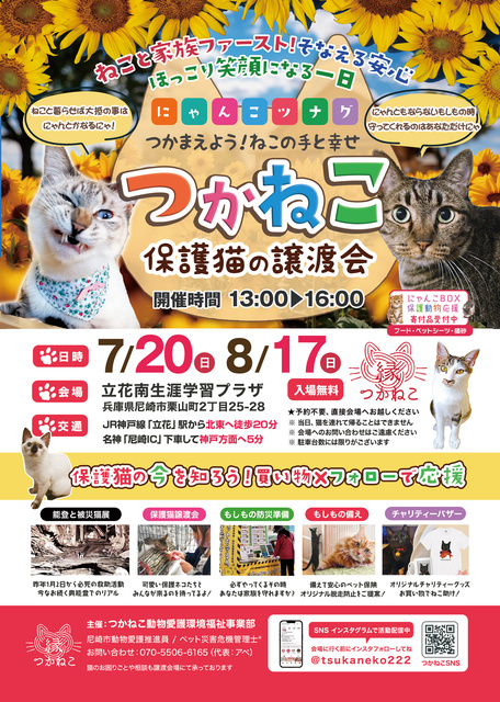 Tsukameko Adoption Event & Panel Exhibition / Charity Goods Sale (August)