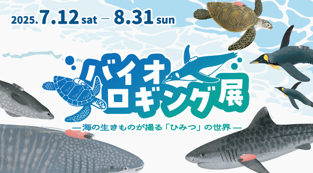 Special Exhibition 'Biologging Exhibition - The Secret World Captured by Marine Creatures'