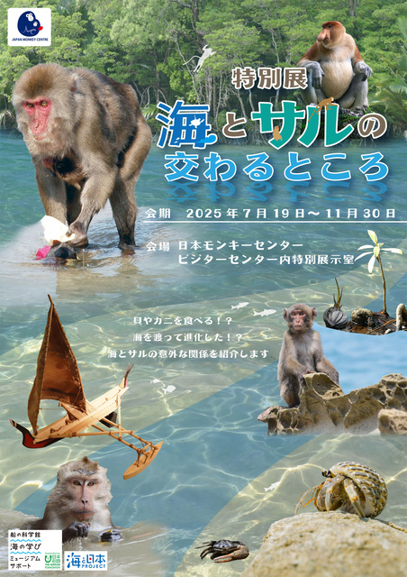 特別展「海とサルの交わるところ」