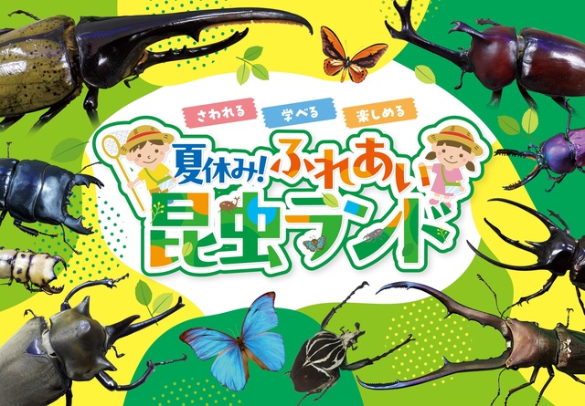 Summer Vacation! Interactive Insect Land