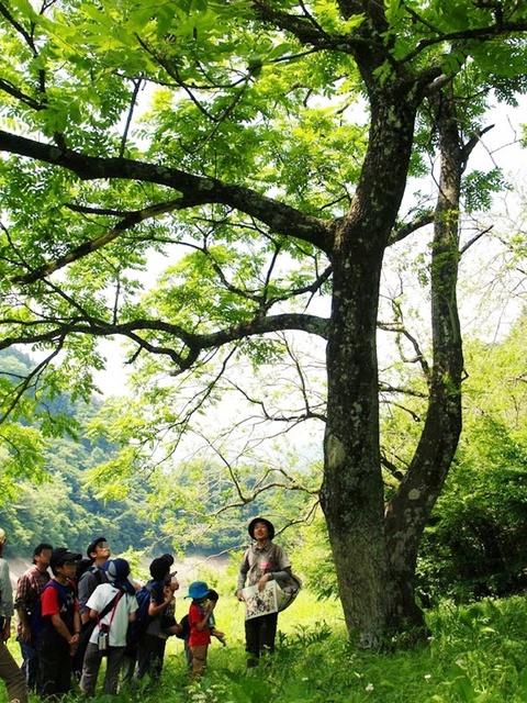 Held Daily During Summer Vacation! Summer Nature Experience Program
