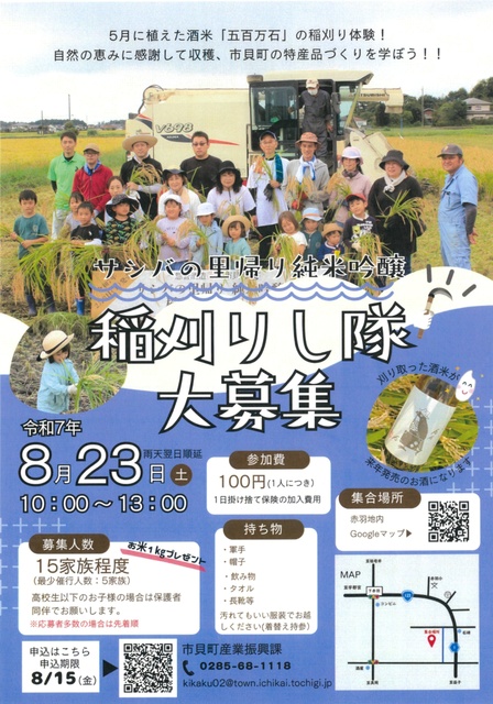 Rice Harvesting Team - Rice Harvesting Experience