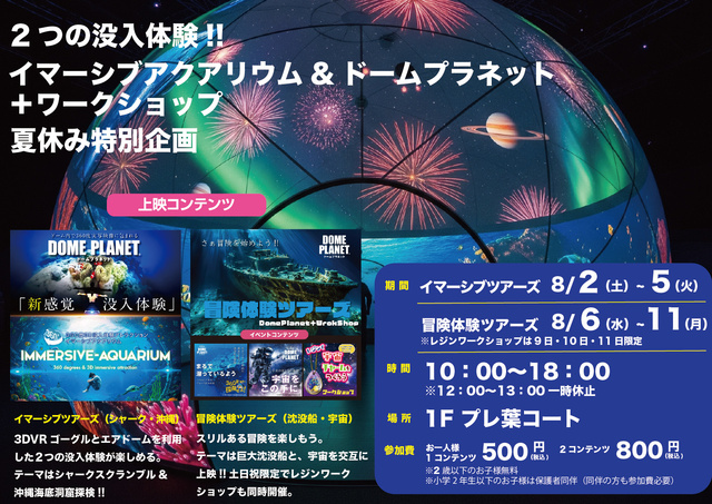 Plebia Walk Hamakita Immersive Tours