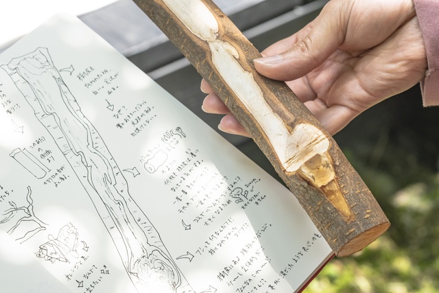 アートラボぎふ　私を見つける森のナイフワーク －生と静の1日－