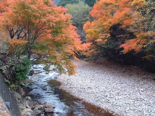 【紅葉・見ごろ】見立渓谷