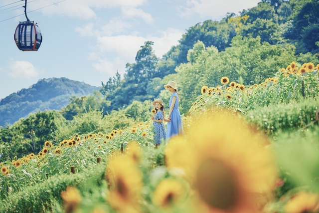 GARDEN FEST 2025 -Summer- A summer you won't forget