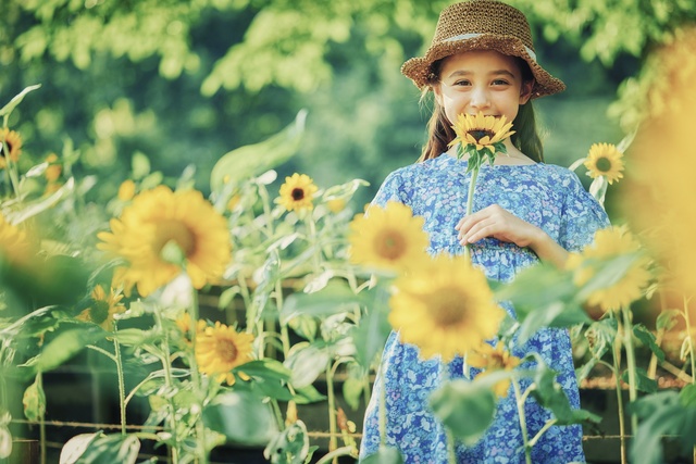 [Flowers & Best Viewing] Kobe Nunobiki Herb Garden / Ropeway Sunflowers