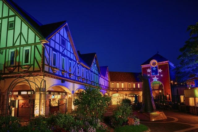Forest of Illuminations ~Forest Cathedral~ Summer Version 2025