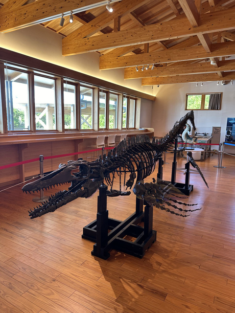 Traveling Exhibition 'Revival!! Wakayama Soryu' (Nanki Kumano Geopark Center)