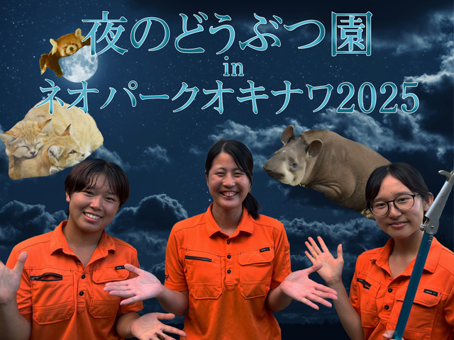 Night Zoo in Neopark Okinawa 2025