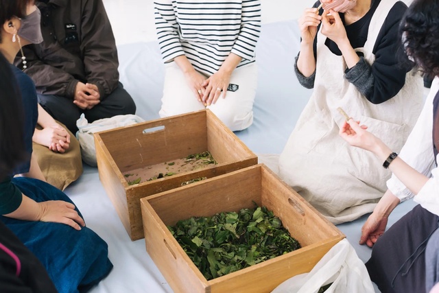 山本愛子「NATURE COLOR PICNIC in 妻有／植物採集の会・草木染の会」