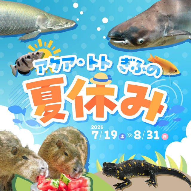 Aqua Tot Gifu Summer Vacation