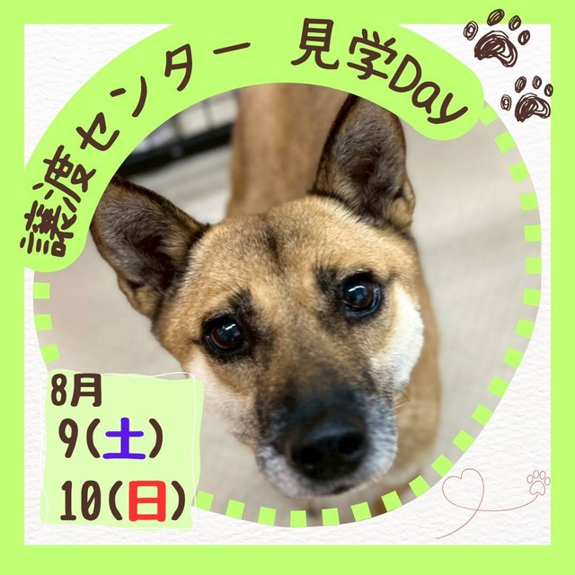 譲渡センター見学Day