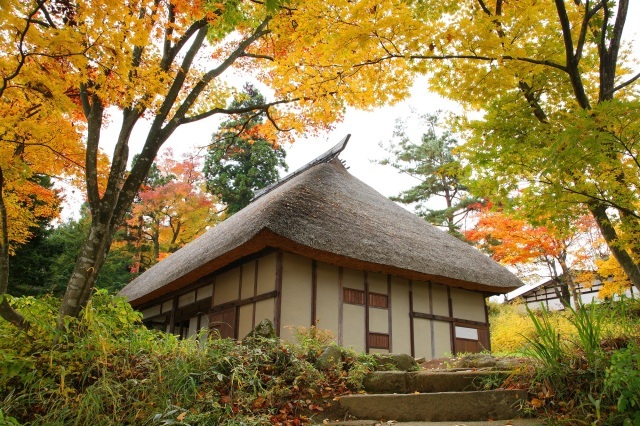 【紅葉・見ごろ】いいやま寺町