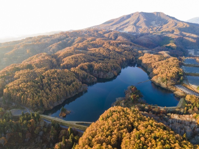 【紅葉・見ごろ】斑尾高原