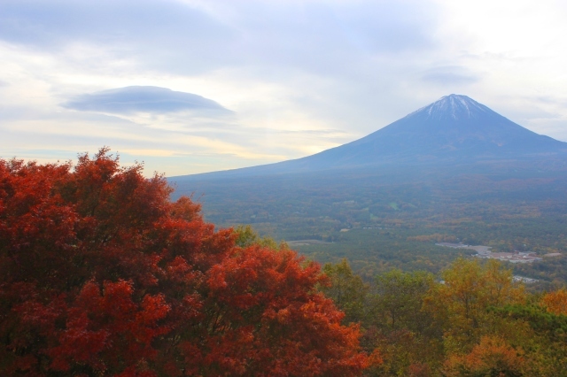 【紅葉・見ごろ】紅葉台