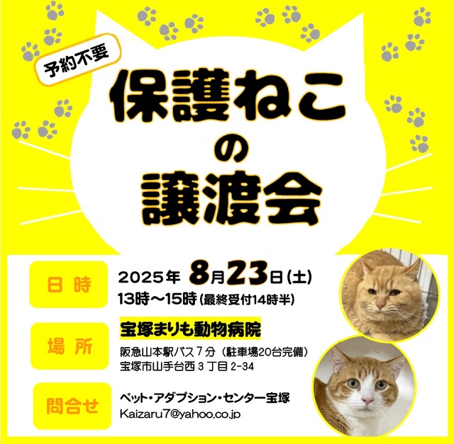 保護ねこ譲渡会 in 宝塚
