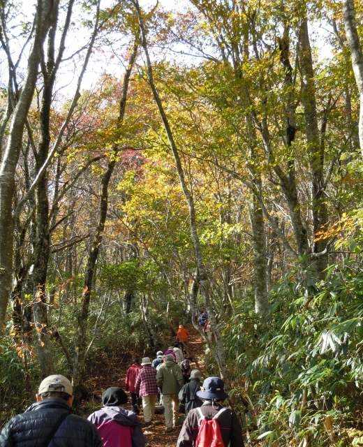 第34回氷ノ山紅葉登山フェスティバル