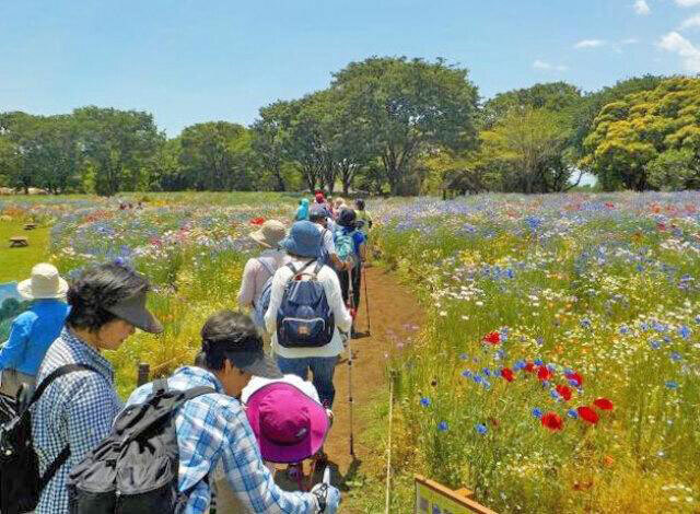 国営昭和記念公園 PF ノルディックウォーキング（9月）