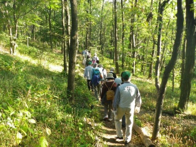 国営昭和記念公園　こもれびの丘　自然観察会（9月）