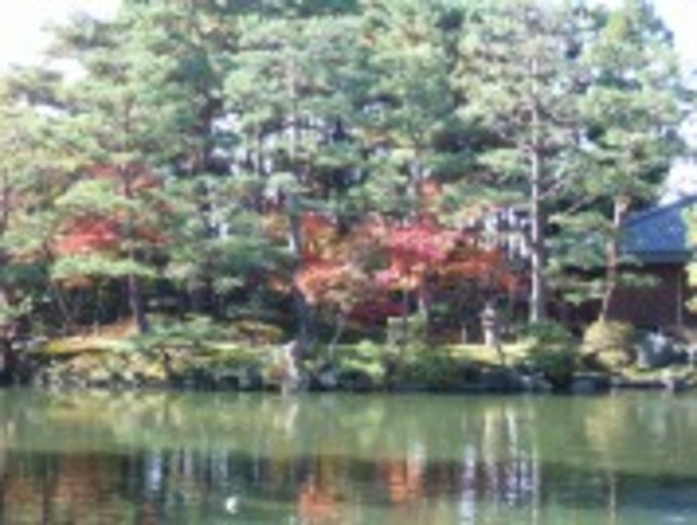 【紅葉・見ごろ】清水園