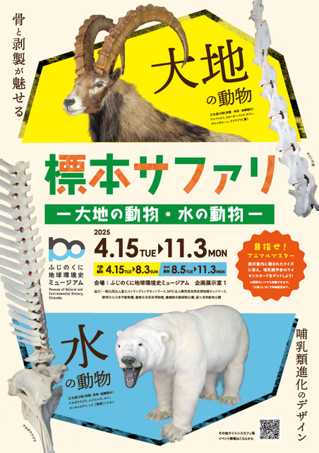 企画展「標本サファリー大地の動物・水の動物ー」（後期）