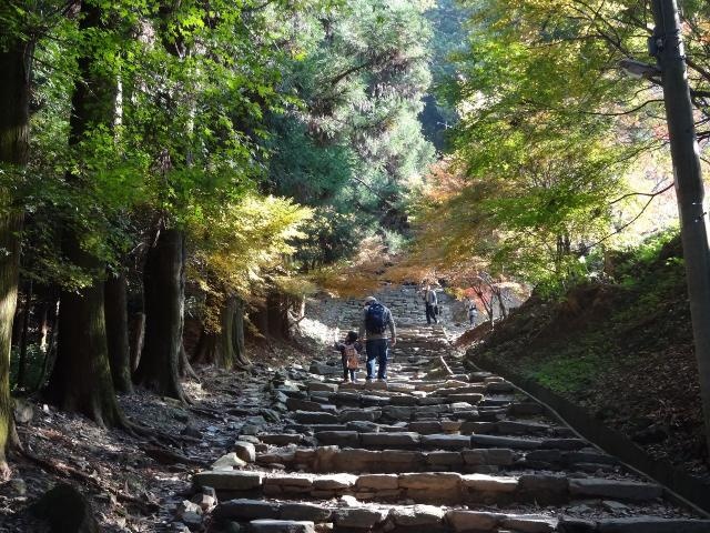 Takeda Mountain and Yame Olle Course Conquest Overnight Tour