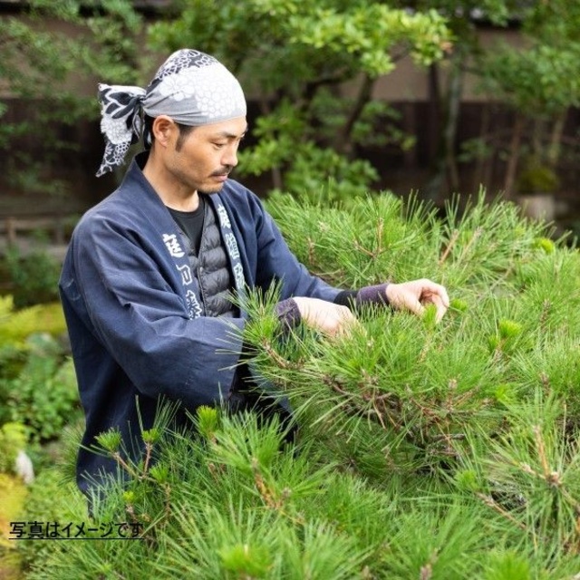 庭職人と庭園スタディー2025「秋～冬の庭」