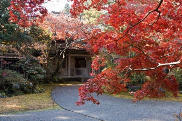 【紅葉・見ごろ】中野邸記念館 (石油王の邸宅)