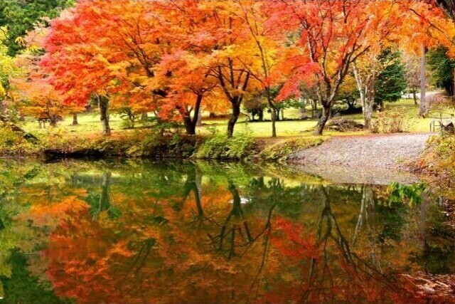 【紅葉・見ごろ】伊奈ヶ湖